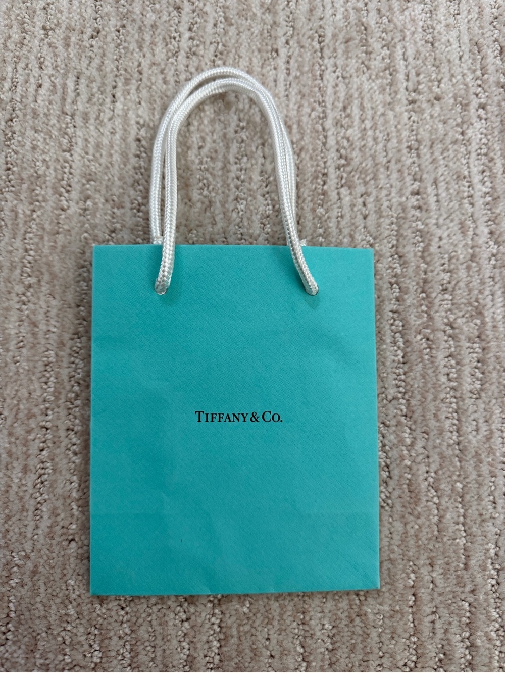 Tiffany & Co. Small Paper Tote in Signature Blue-Green with White Rope Handles